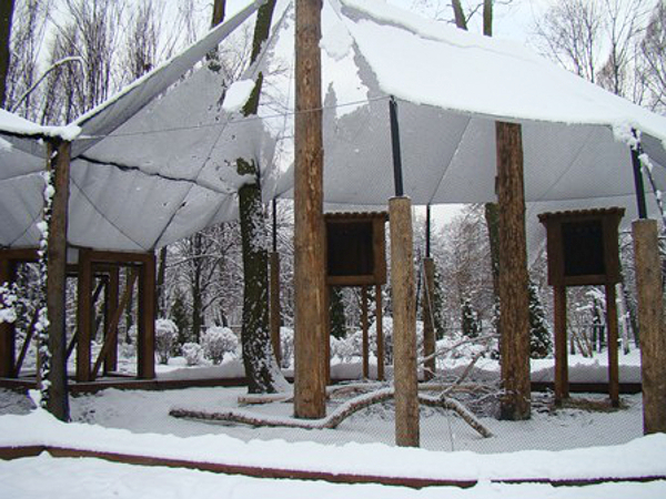 Sowy będę miały nowe woliery. W zoo zakończyła się kolejna budowa