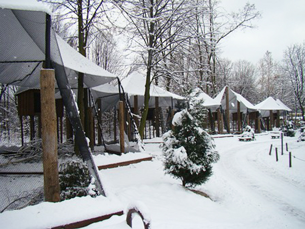 Sowy będę miały nowe woliery. W zoo zakończyła się kolejna budowa