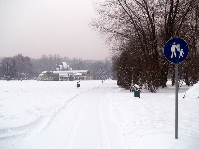 Licytacja dla WOŚP rozstrzygnięta