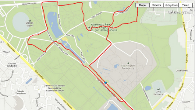 Na alejach wyznaczono ślad dla narciarzy. Warto pobiegać