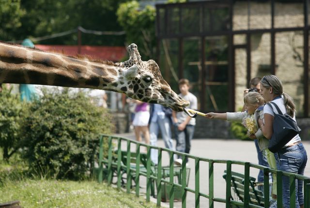 10 rzeczy, które w tym roku warto wiedzieć o Śląskim Ogrodzie Zoologicznym