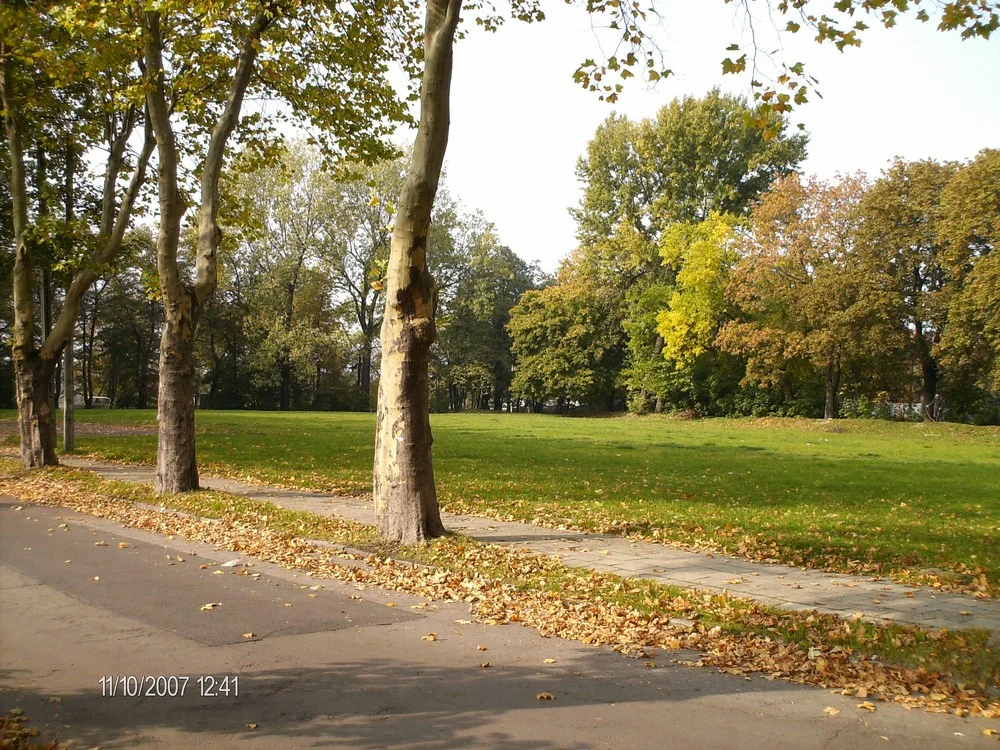 Zespół mieszkaniowy "Platany" 2