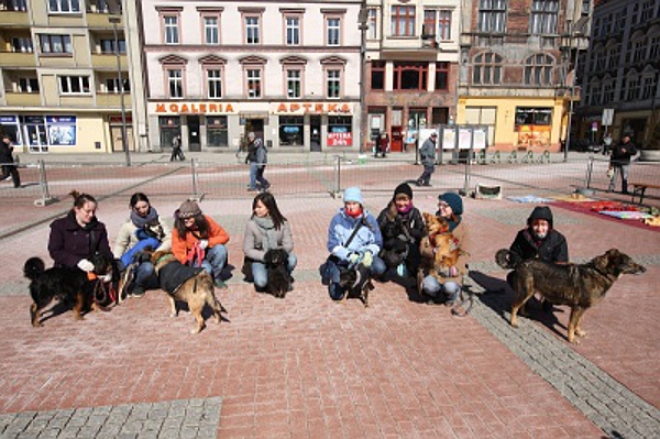Podopieczni schroniska mają nowy dom