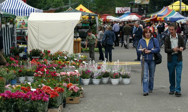 Święto kwiatów w Parku Śląskim