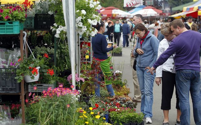 Święto kwiatów w Parku Śląskim