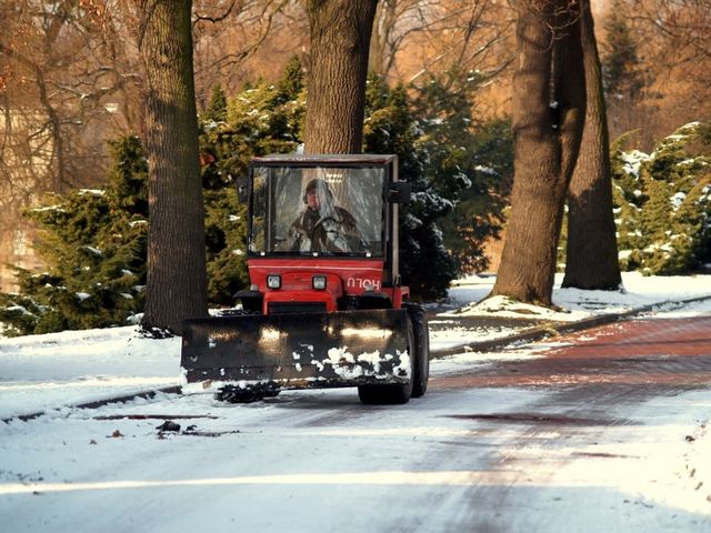 Wygonić zimę, czyli pora na wielkie porządki w Parku Śląskim