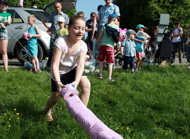 Tysiąc rolek papieru imitowało jelito grube