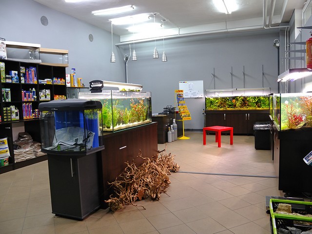 Klient wyczuje, że na czymś się nie znamy... - Adam Szczyrba