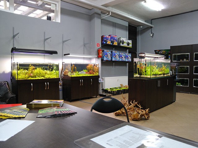 Klient wyczuje, że na czymś się nie znamy... - Adam Szczyrba