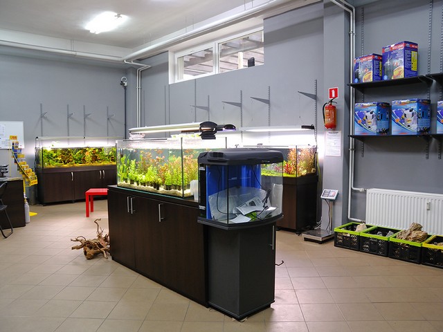 Klient wyczuje, że na czymś się nie znamy... - Adam Szczyrba