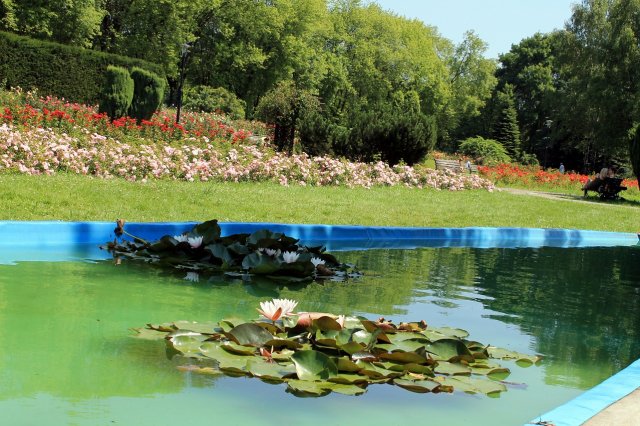 Rosarium w Parku Śląskim 3