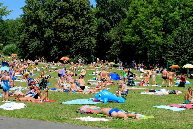 Opalanie w Parku Śląskim? Ależ oczywiście