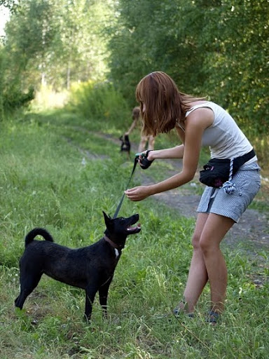 Jodełka - Adoptowana!