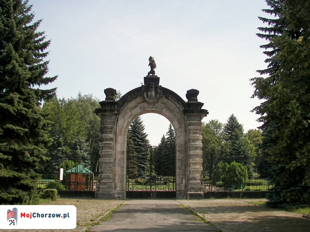 Pora na gadzi 'come back'