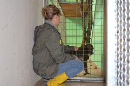 Nowy lokator w Śląskim Ogrodzie Zoologicznym