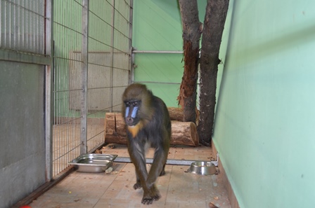 Nowy lokator w Śląskim Ogrodzie Zoologicznym