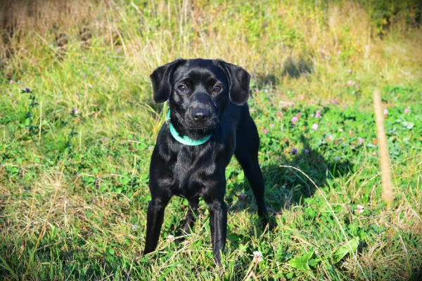 Kaktus - Adoptowany!