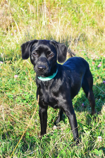 Kaktus - Adoptowany!