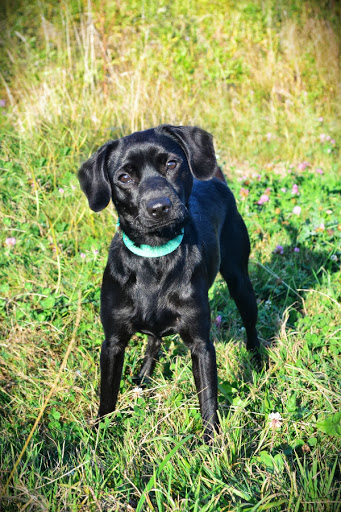 Kaktus - Adoptowany!