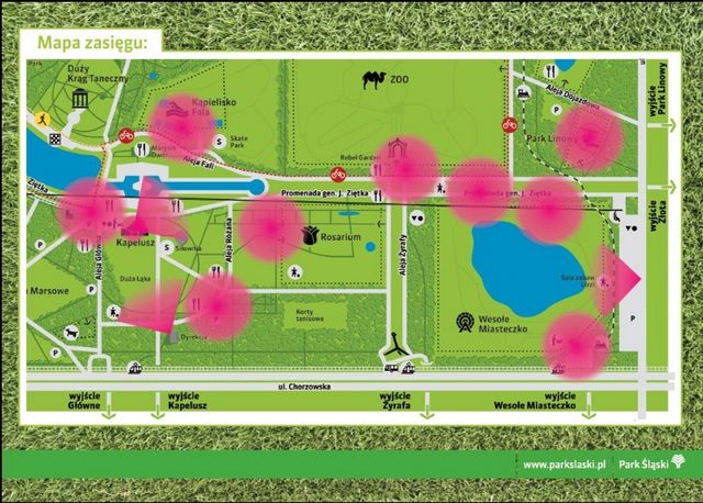 Zakończyła się budowa sieci światłowodowej