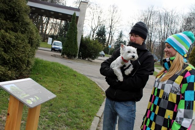 Spacer szlakiem najoryginalniejszych gatunków drzew w Parku Śląskim