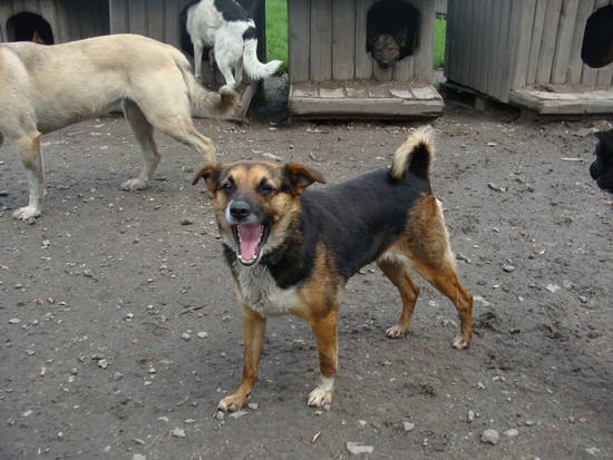 Żabcia - Adoptowana!