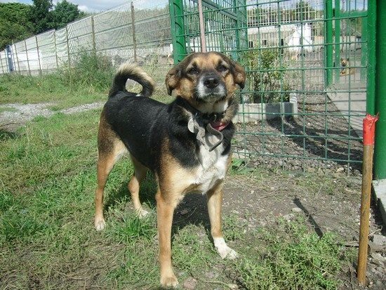 Żabcia - Adoptowana!