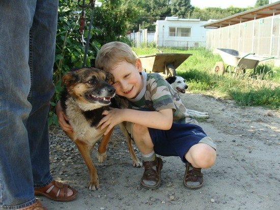 Żabcia - Adoptowana!