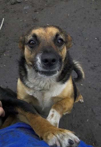 Żabcia - Adoptowana!