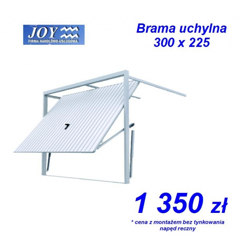 Joy Firma Handlowo-Usługowa