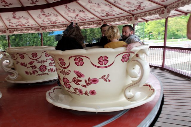 Filiżanki idealne dla filmowców 12