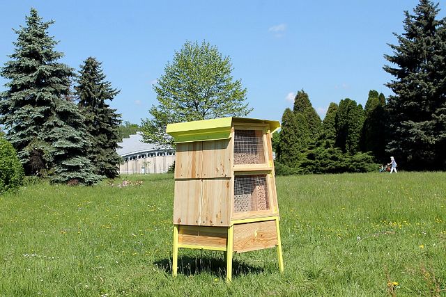 W Parku Śląskim Greenpeace otworzył jeden ze swoich hoteli