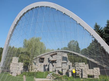 W oczekiwaniu na orłosępy