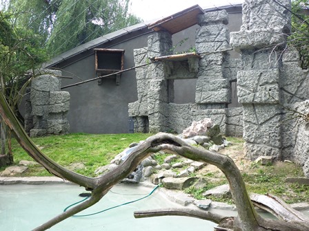 W oczekiwaniu na orłosępy