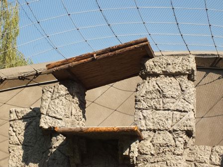 W oczekiwaniu na orłosępy