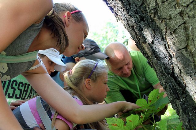 Dotknąć liścia, usłyszeć sikorkę