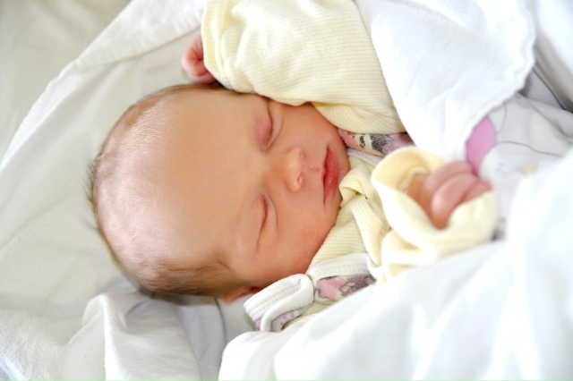 Najmłodsi mieszkańcy - sierpień 2014