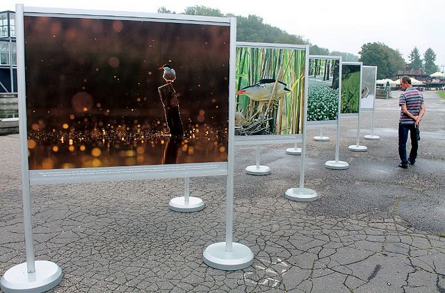 Natura 2000 w województwie śląskim. Wystawa przy Kanale Regatowym