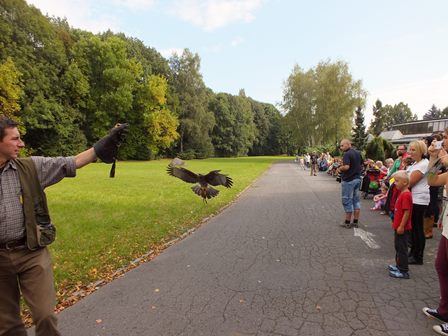 Relacja z "zalatanej soboty"