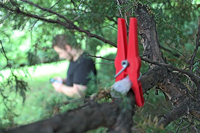 W Parku Śląskim opencacherzy mają już blisko czterdzieści lokalizacji