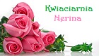 Kwiaciarnia Nerina