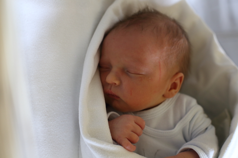 Najmłodsi mieszkańcy - czerwiec 2015