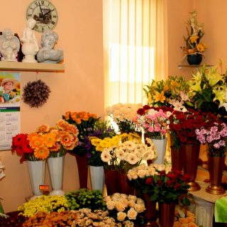 PARK PAMIĘCI - usługi pogrzebowe i kremacyjne