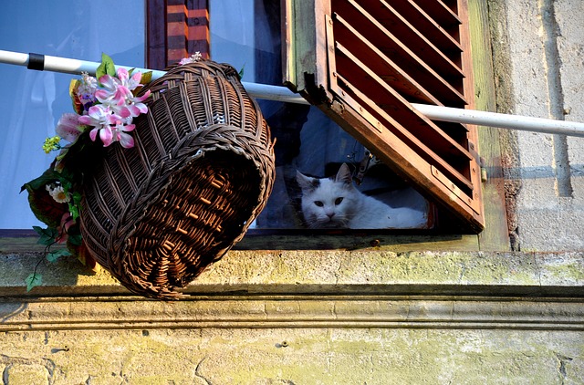 Finansowy dołek z chwilówką na raty - w Piekarach to codzienność!