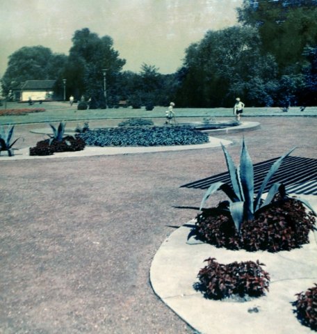 Ogrody tematyczne w parkowej przestrzeni. Róże, byliny i niedokończona Japonia