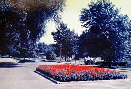 Ogrody tematyczne w parkowej przestrzeni. Róże, byliny i niedokończona Japonia