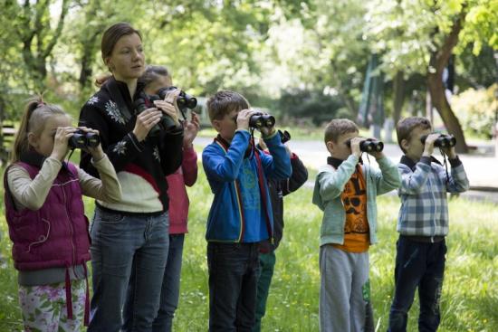 Będzie można pospacerować szlakiem ptasich treli. W Parku Śląskim powstaje ścieżka ornitologiczna