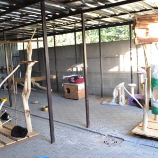 Schronisko TOZ FAUNA