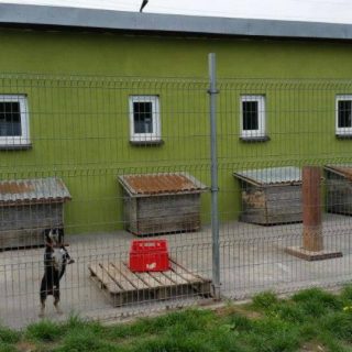 Schronisko TOZ FAUNA