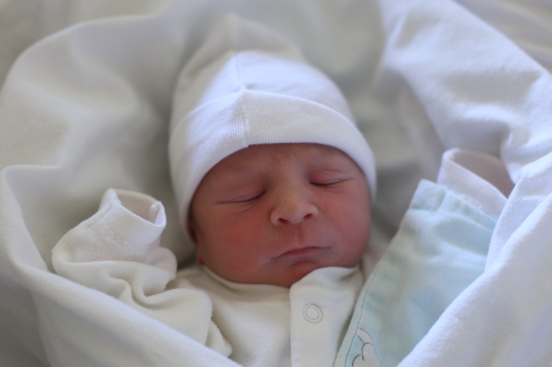 Najmłodsi mieszkańcy - listopad 2015